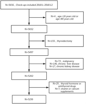 Correlation Between Hashimoto's Thyroiditis–Related Thyroid Hormone Levels and 25-Hydroxyvitamin D